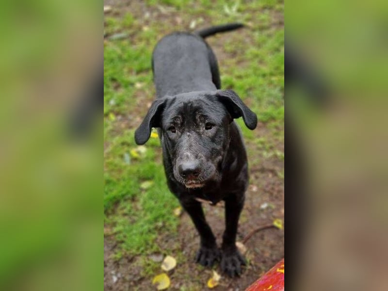 MARA möchte deine Freundin sein