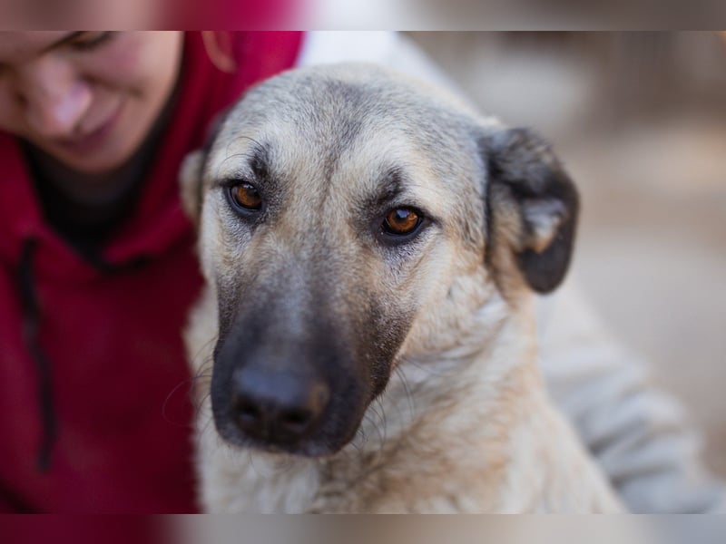 Beauty ♥ Fly ♥ herzliche, treue Fellfreundin