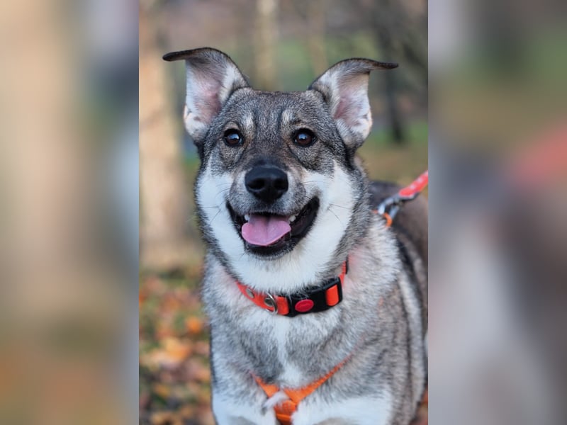 Verschmuste Vivien sucht ihre Familie