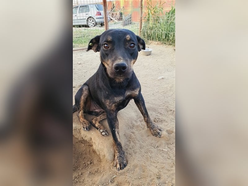 Kaia noch etwas zurückhaltend Kaia noch etwas zurückhaltend