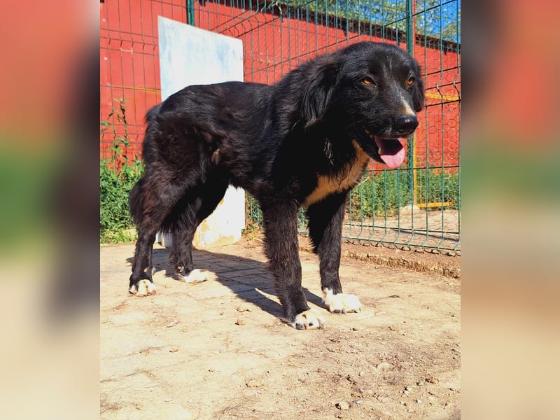 Esperanza hat die Hoffnung nicht aufgegeben