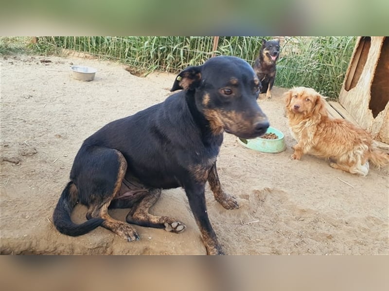 Kaia noch etwas zurückhaltend Kaia noch etwas zurückhaltend