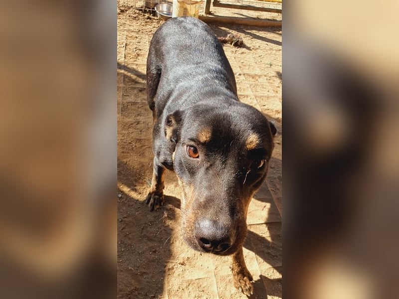 Kaia noch etwas zurückhaltend Kaia noch etwas zurückhaltend