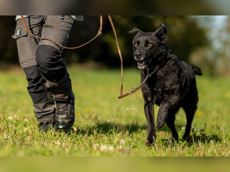 LEXI - freundliche Schönheit
