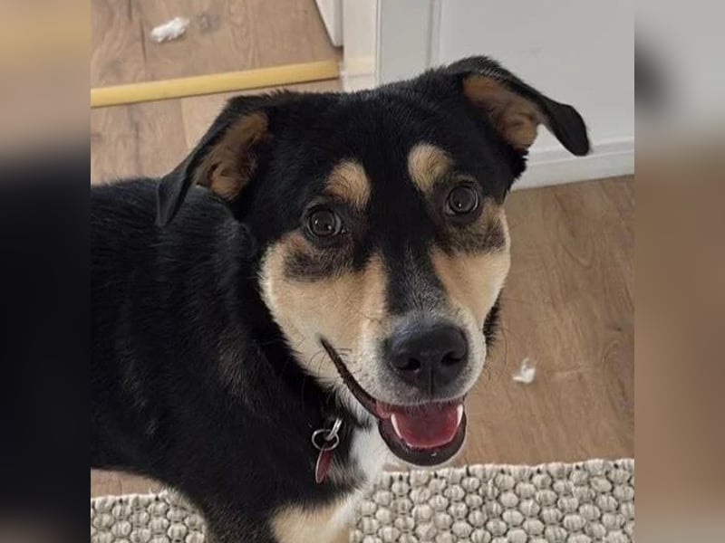 Aarne – sensibler Jungspund mit Herz und Köpfchen