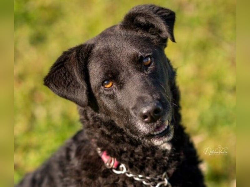 LEXI - freundliche Schönheit