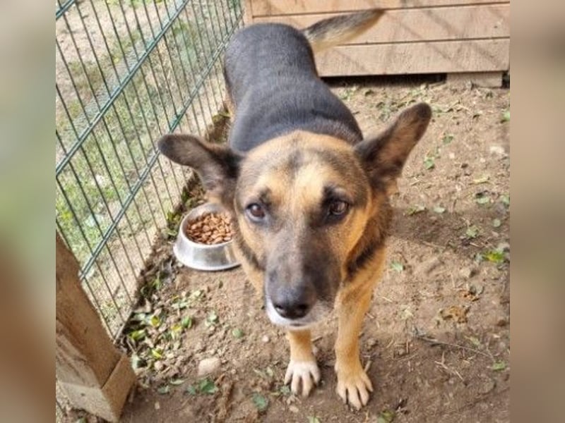 Jürgen ganz lieb und verschmust Jürgen ganz lieb und verschmust