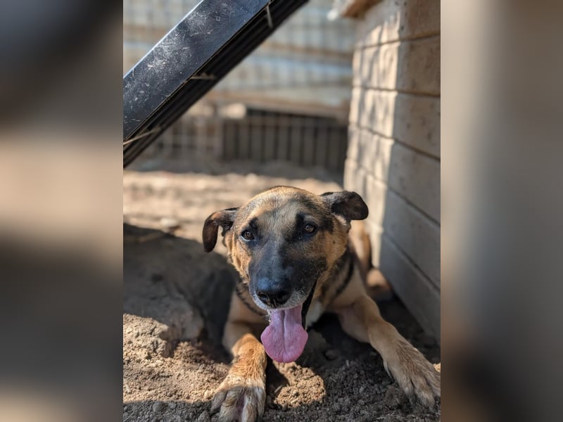 Jürgen ganz lieb und verschmust Jürgen ganz lieb und verschmust