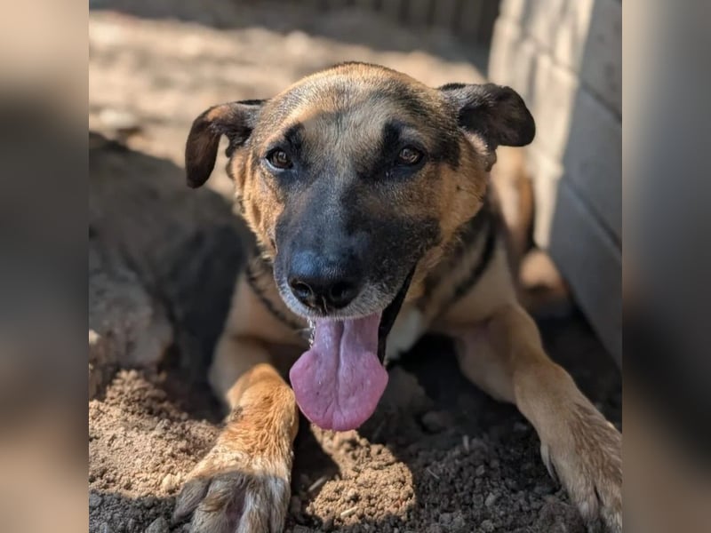 Jürgen ganz lieb und verschmust Jürgen ganz lieb und verschmust