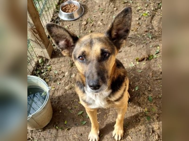 Jürgen ganz lieb und verschmust Jürgen ganz lieb und verschmust