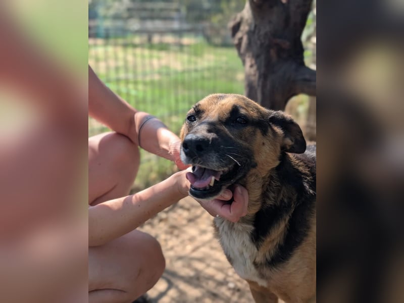 Jürgen ganz lieb und verschmust Jürgen ganz lieb und verschmust