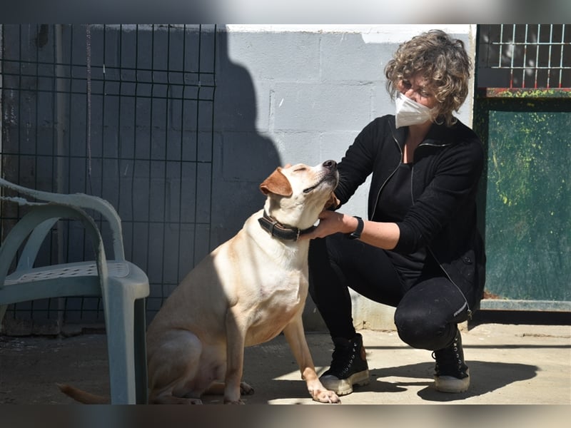 Baxter, will der Freund fürs Leben werden