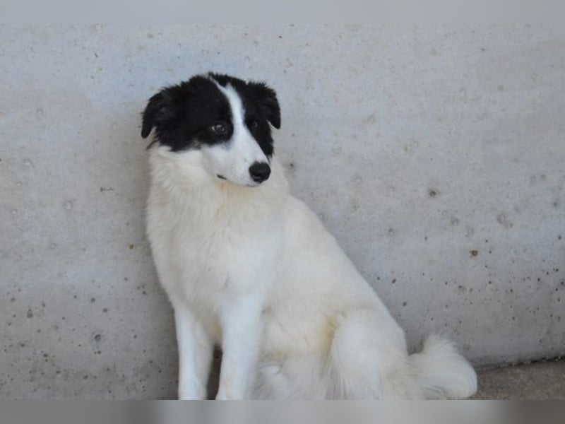 Ghazala - Noch ein bisschen scheu, aber voller Neugier aufs Leben