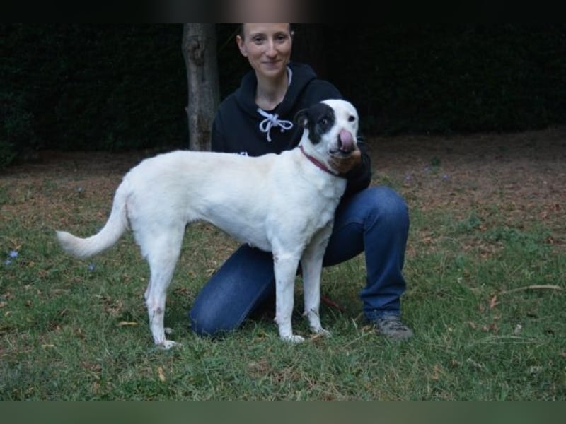 Camellia - sucht ihr Zuhause Camellia - sucht ihr Zuhause