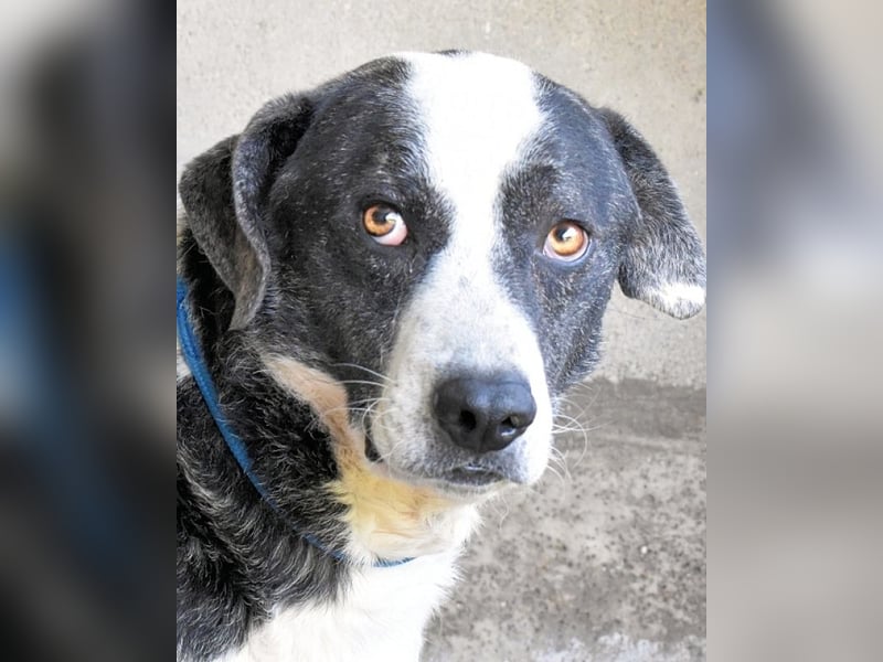 Oldrich - NIE ist einfach zu lang