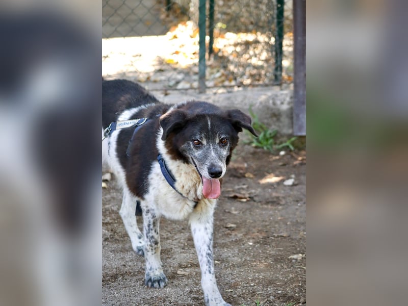 Cambiamento - lasst uns sein Leben verändern