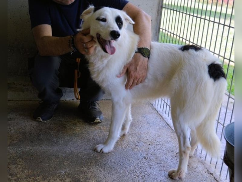 Pattie - Pattie im Vergessen