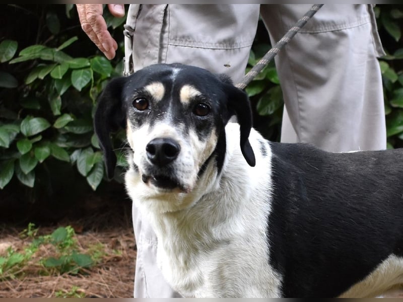 Ericka - NOTFALL - Wie viele Leben brauchst du?