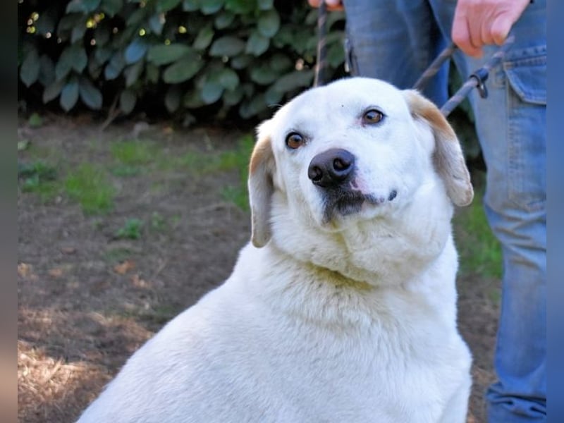 Ghemon - Der sanfte Träumer im Canile