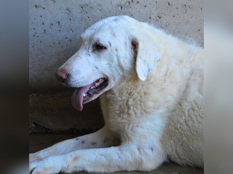 Arriel - aller guten Dinge sind drei