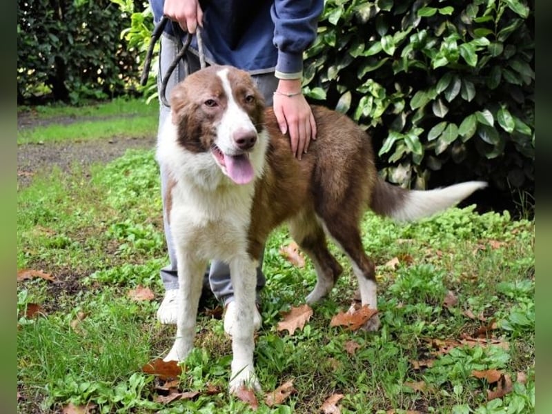 Carissa - Es war ein kalter Abend im späten Herbst ...