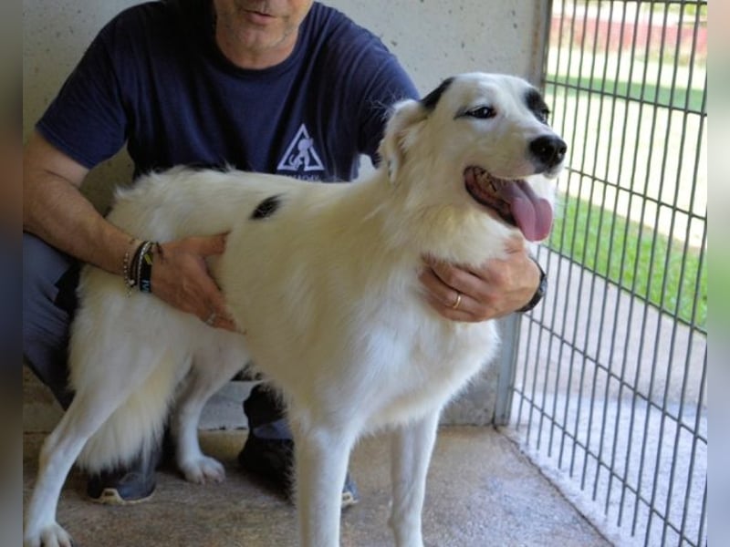 Pattie - Pattie im Vergessen