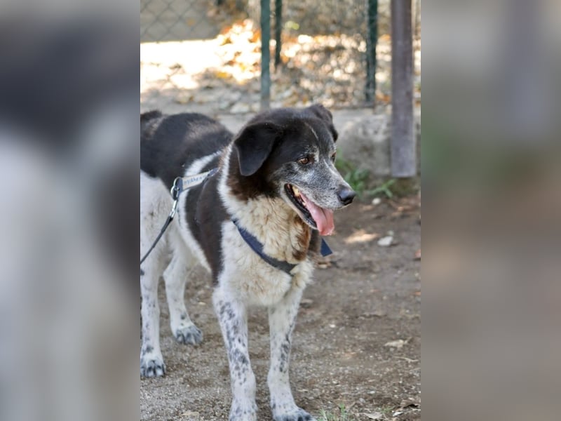Cambiamento - lasst uns sein Leben verändern