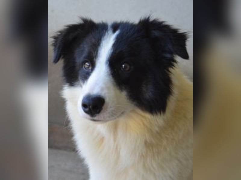 Ghazala - Noch ein bisschen scheu, aber voller Neugier aufs Leben