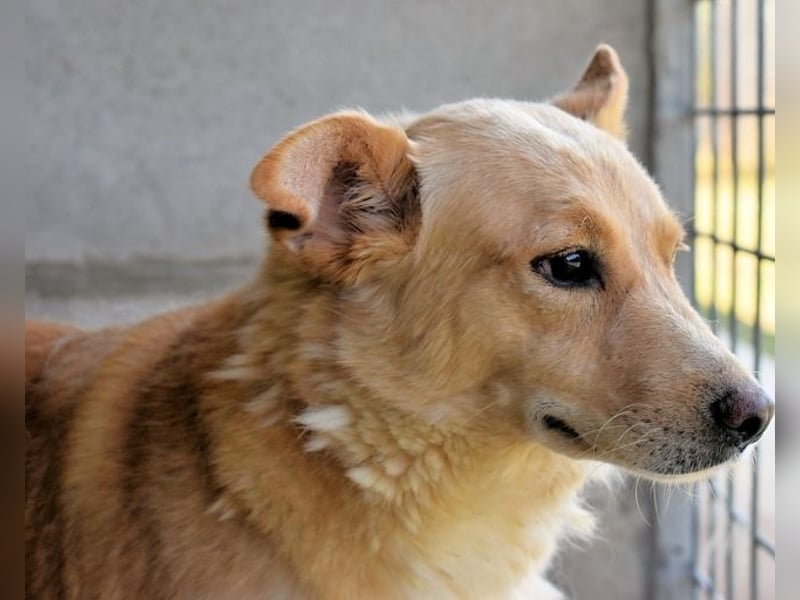 Ariana - lange sitzen sie schon da und haben es schwer