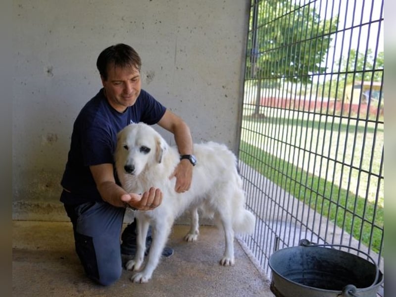 Peeke - Es ist höchste Zeit! Peeke - Es ist höchste Zeit!