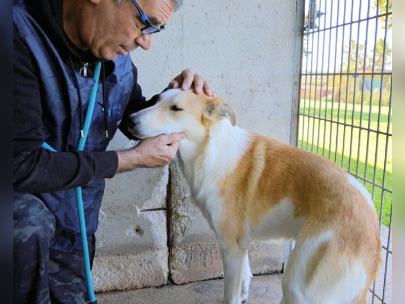 Liuba - sucht ihren Platz im Leben Liuba - sucht ihren Platz im Leben
