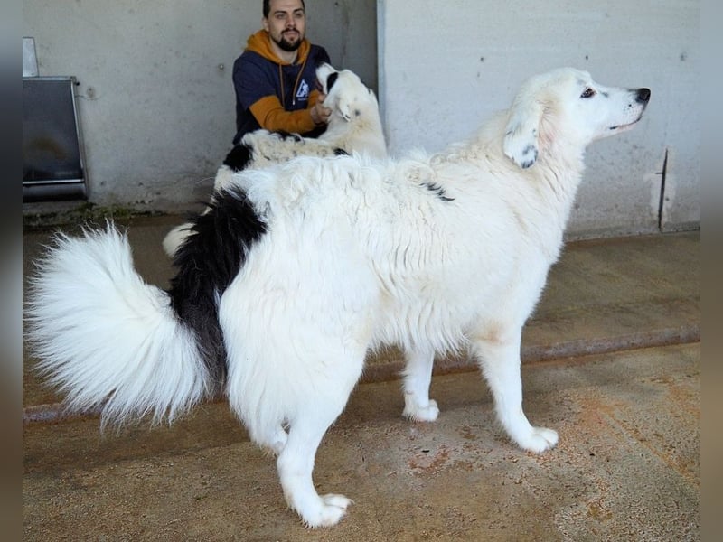 Peeke - Es ist höchste Zeit! Peeke - Es ist höchste Zeit!