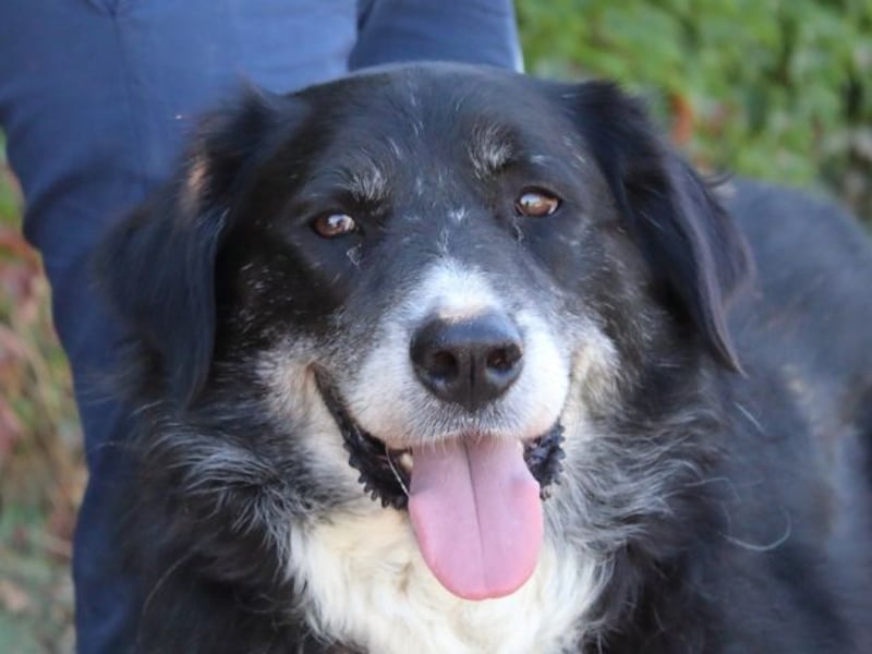 Carmine - Bereit für den Neustart