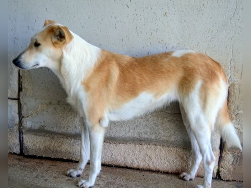 Liuba - sucht ihren Platz im Leben Liuba - sucht ihren Platz im Leben