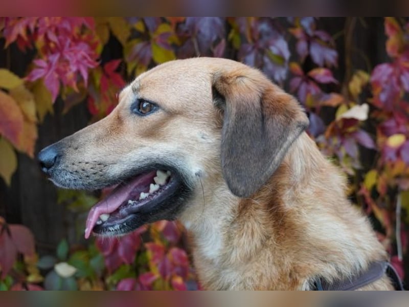 Rihanna - Es hat ihr nichts genützt