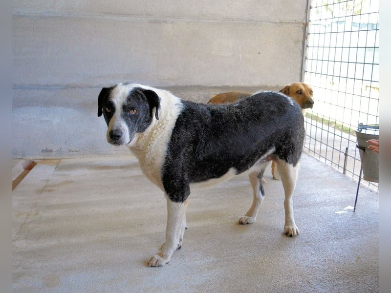 Oldrich - NIE ist einfach zu lang