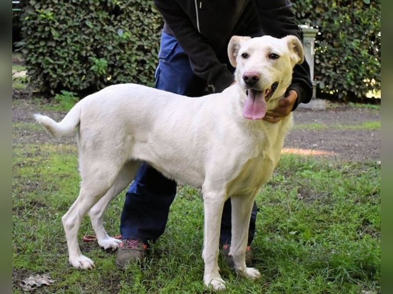 Hadrienne - einmal nur Wärme spüren