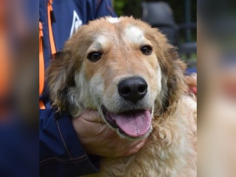 Ligorio und seine Geschwister sind gewachsen