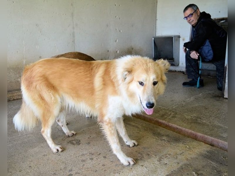Lauritz - sucht seinen Platz im Leben Lauritz - sucht seinen Platz im Leben