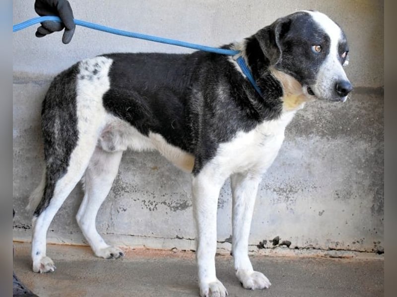 Oldrich - NIE ist einfach zu lang