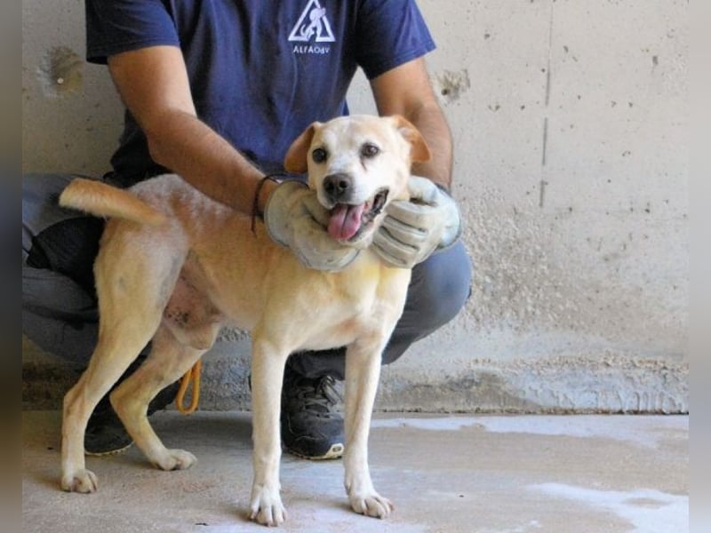 Jimmy - SOS - muss erstmal durchatmen