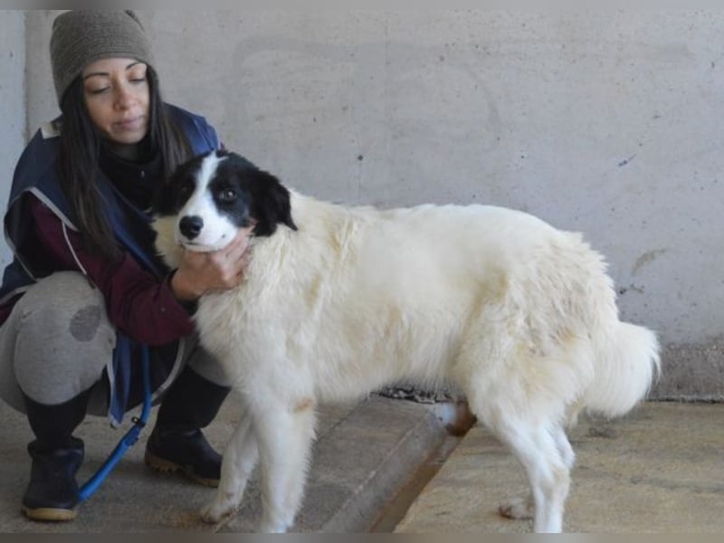 Ghazala - Noch ein bisschen scheu, aber voller Neugier aufs Leben
