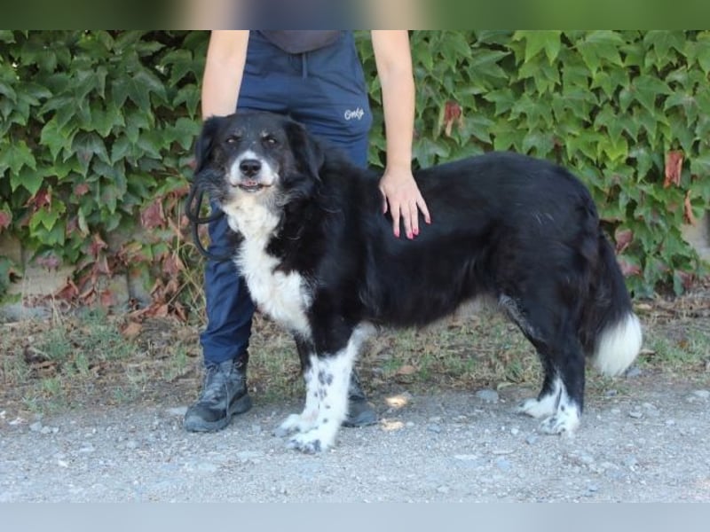 Carmine - Bereit für den Neustart