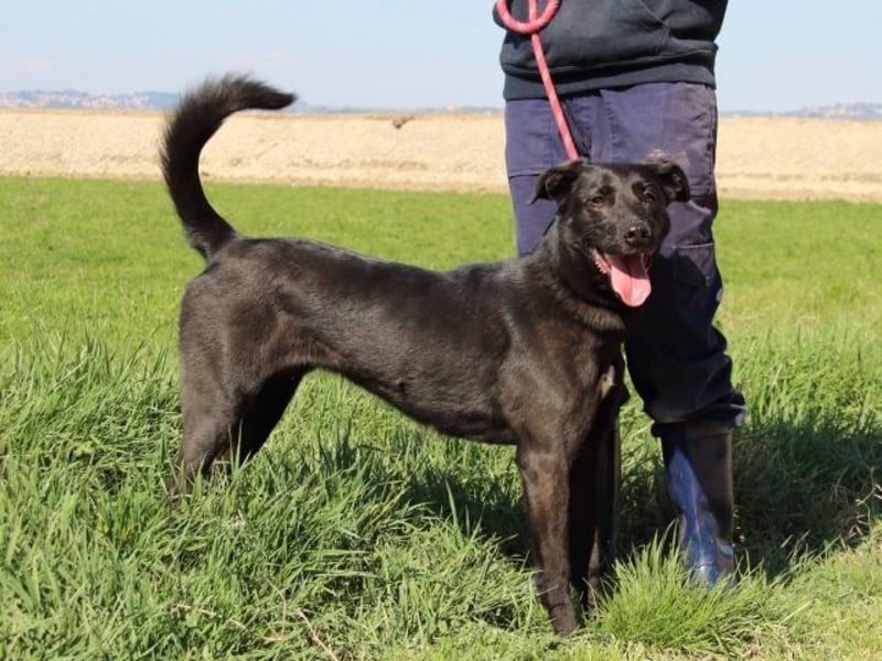 Clodette - Persönlichkeit sucht Führungsqualität!