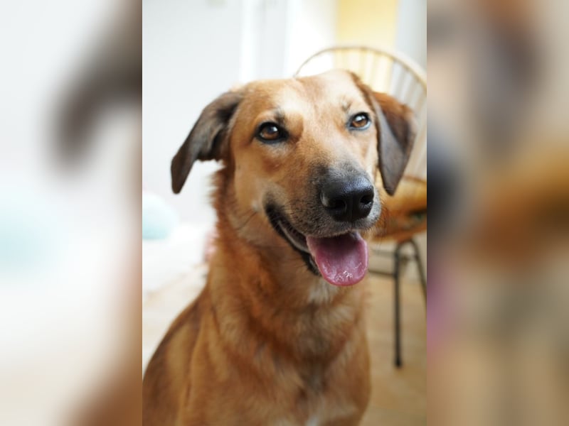 Rihanna - Es hat ihr nichts genützt