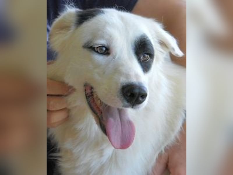 Pattie - Pattie im Vergessen