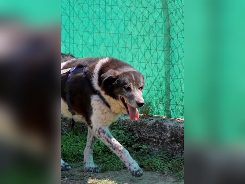 Cambiamento - lasst uns sein Leben verändern