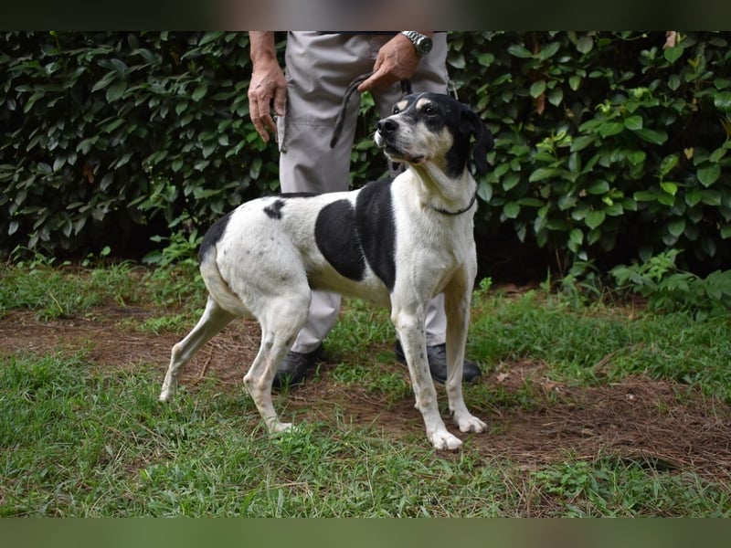 Ericka - NOTFALL - Wie viele Leben brauchst du?