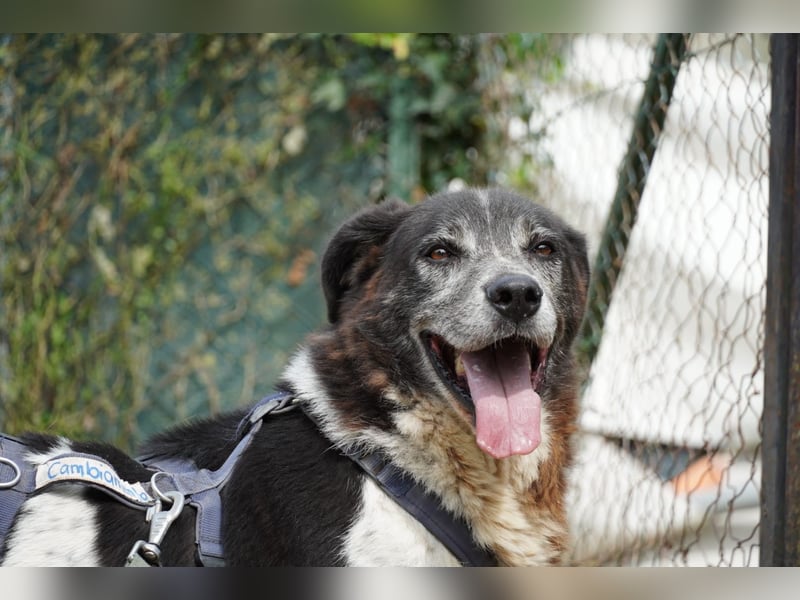 Cambiamento - lasst uns sein Leben verändern