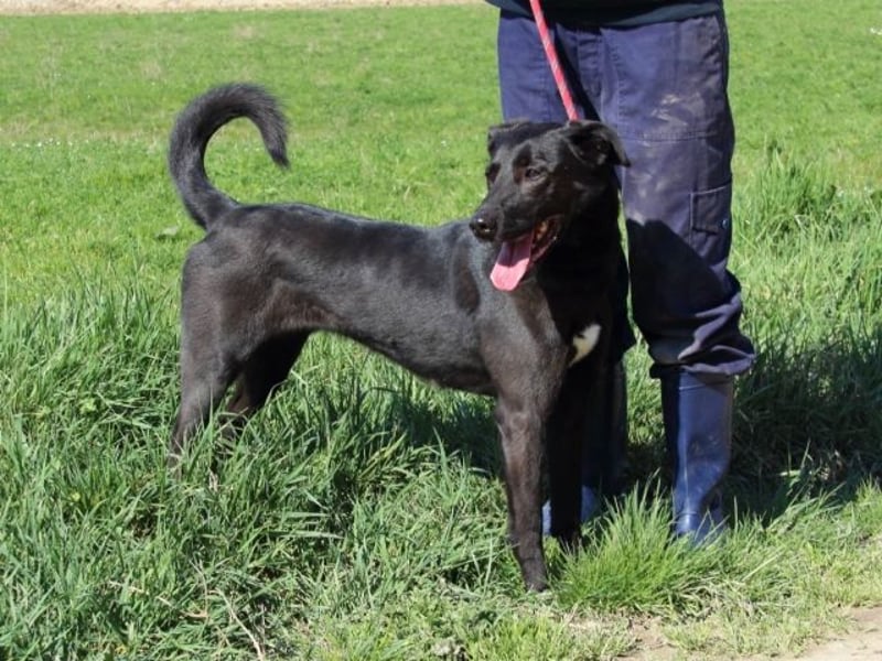 Clodette - Persönlichkeit sucht Führungsqualität!